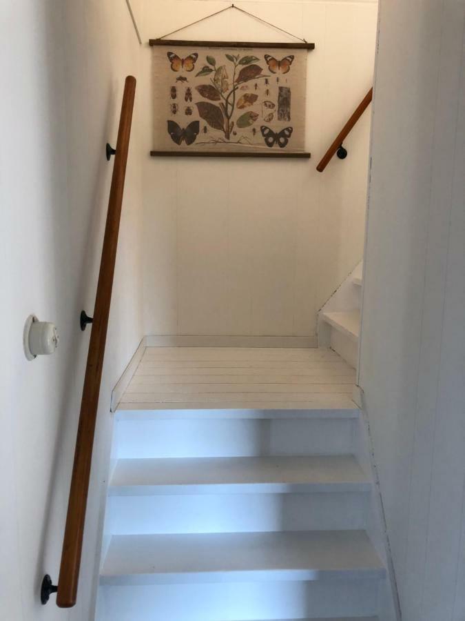 Hogezoom 131 Villa Renesse Exteriör bild
